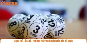 Bạch Thủ Lô Là Gì - Phương Pháp Chốt Số Chuẩn Xác Từ SC88