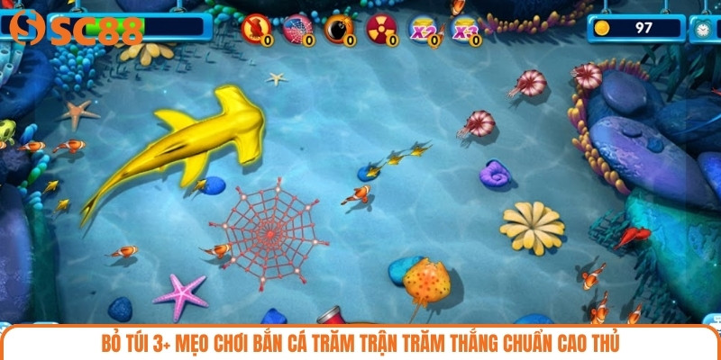 Bỏ túi 3+ mẹo chơi bắn cá trăm trận trăm thắng chuẩn cao thủ