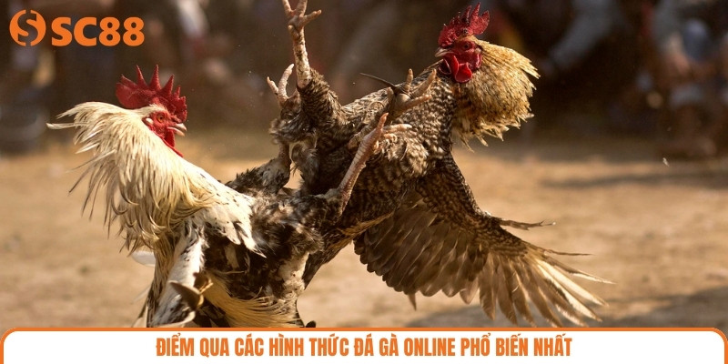 Điểm qua các hình thức đá gà Online phổ biến nhất