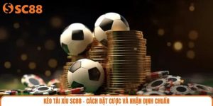 Kèo Tài Xỉu SC88 - Cách Đặt Cược Và Nhận Định Chuẩn