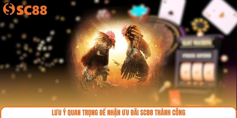 Lưu ý quan trọng để nhận ưu đãi SC88 thành công