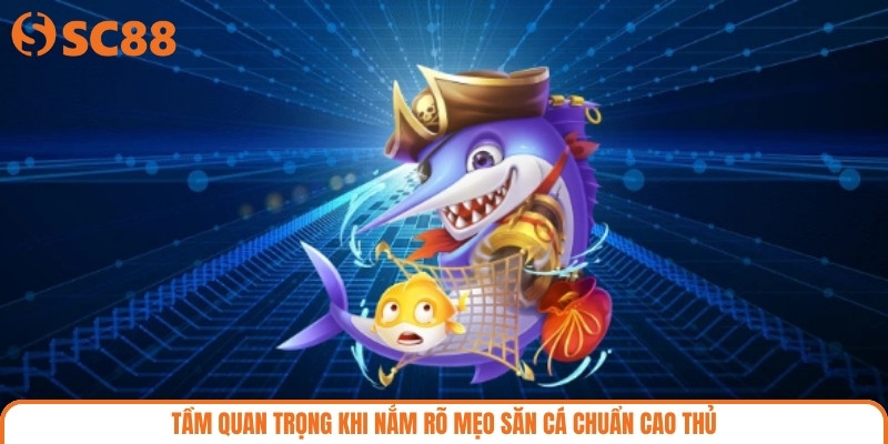Tầm quan trọng khi nắm rõ mẹo săn cá chuẩn cao thủTầm quan trọng khi nắm rõ mẹo săn cá chuẩn cao thủ