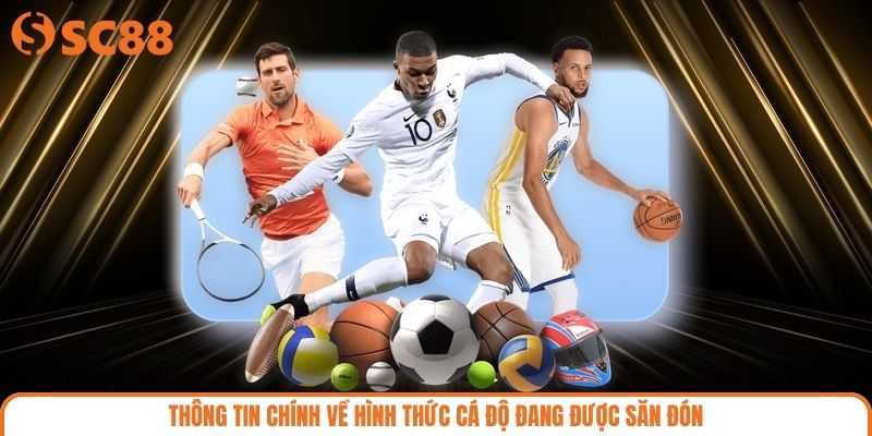 Thông tin chính về hình thức cá độ đang được săn đón