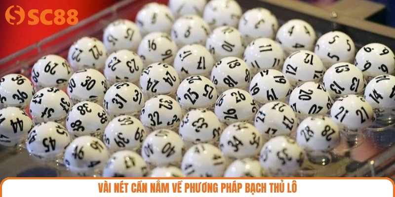 Vài nét cần nắm về phương pháp bạch thủ lô